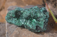 Natural Chatoyant Silky Malachite Specimen x 1 From Kasompe, Congo