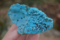 Natural Blue Chrysocolla On Silky Malachite Matrix Specimens  x 6 From Kulukuluku, Congo - Toprock Gemstones and Minerals 