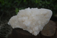 Natural Large Pineapple Candle Quartz Crystals  x 2 From Madagascar - Toprock Gemstones and Minerals 