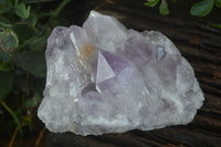 Natural Jacaranda Amethyst Clusters  x 3 From Mumbwa, Zambia - Toprock Gemstones and Minerals 