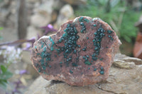 Natural Emerald Dioptase On Red Dolomite Matrix Specimen  x 1 From Likasi, Congo