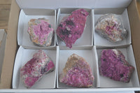 Natural Pink Salrose Cobaltion Dolomite Specimens  x 6 From Kakanda, Congo