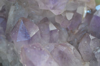 Natural Jacaranda Amethyst Cluster x 1 From Mumbwa, Zambia - TopRock