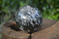 Polished Merlinite Gabbro Spheres  x 4 From Madagascar - Toprock Gemstones and Minerals 