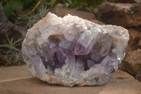 Natural Jacaranda Amethyst Vug Cluster  x 1 From Zambia - TopRock