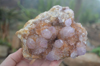 Natural Stunning Spirit Ametrine Quartz Cluster  x 1 From Boekenhouthoek, South Africa - Toprock Gemstones and Minerals 