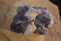 Natural Dark Amethyst Clusters x 3 From Mapatizya, Zambia