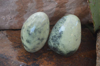 Polished Spotted Leopard Stone Standing Free Forms  x 6 From Zimbabwe - Toprock Gemstones and Minerals 