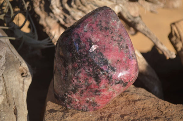 Polished Red & Black Rhodonite Standing Free Form x 1 From Zimbabwe