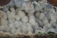 Natural Pure White Drusy Coated Balls With Malachite On Red Copper Dolomite  x 1 From Likasi, Congo