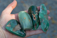 Polished Green Mtorolite Free Forms  x 12 From Zimbabwe - TopRock