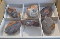 Polished River Agate Nodules  x 6 From Zimbabwe