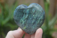 Polished Mixed Labradorite Items  x 14 From Madagascar - Toprock Gemstones and Minerals 