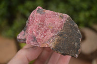 Natural Rough Pink Rhodonite Specimens  x 5 From Zimbabwe