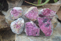 Natural Pink Salrose Cobaltion Dolomite Specimens  x 6 From Kakanda, Congo