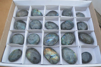 Polished  Flashy Labradorite Palm Stones  x 20 From Tulear, Madagascar