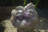 Natural Jacaranda Amethyst Cluster x 1 From Mumbwa, Zambia - TopRock