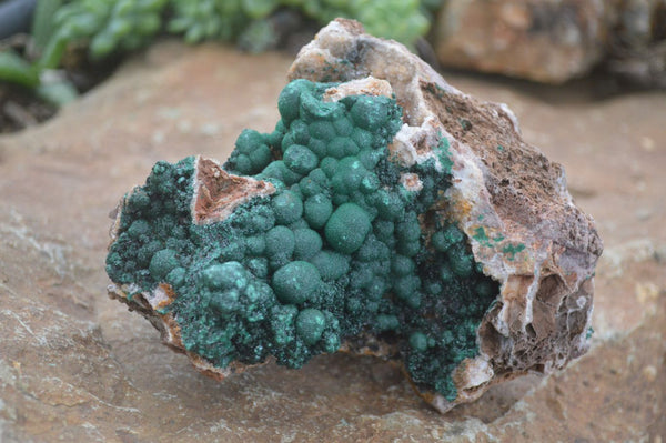 Natural Rare Ball Malachite On Drusy Quartz & Dolomite Matrix  x 1 From Kambove, Congo - Toprock Gemstones and Minerals 