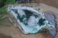 Natural Rare Ball Malachite On Drusy Quartz & Dolomite Matrix  x 2 From Kambove, Congo - Toprock Gemstones and Minerals 