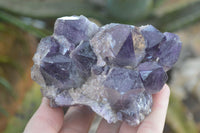 Natural Dark Amethyst Clusters x 3 From Mapatizya, Zambia