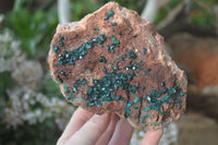 Natural Emerald Dioptase On Red Dolomite Matrix Specimen  x 1 From Likasi, Congo