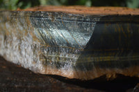 Natural Sliced Tigers Eye Specimen x 1 From Prieska, South Africa - Toprock Gemstones and Minerals 