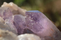 Natural Jacaranda Amethyst Vug Cluster  x 1 From Zambia - TopRock