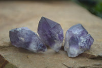 Natural Single Amethyst Crystals  x 35 From Zambia - Toprock Gemstones and Minerals 