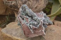 Natural Drusy Coated Ball Malachite On Dolomite Specimen  x 1 From Likasi, Congo