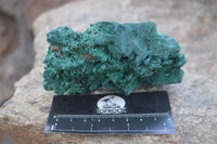 Natural Chatoyant Silky Malachite Specimens  x 2 From Kasompe, Congo