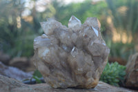 Natural Cascading White Phantom Smokey Quartz Clusters  x 2 From Luena, Congo - Toprock Gemstones and Minerals 