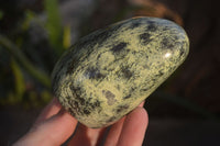 Polished Leopard Stone Standing Free Forms  x 6 From Zimbabwe - Toprock Gemstones and Minerals 