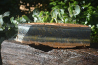 Natural Sliced Tigers Eye Specimen x 1 From Prieska, South Africa - Toprock Gemstones and Minerals 