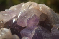 Natural Jacaranda Amethyst Vug Cluster  x 1 From Zambia - TopRock