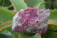 Natural Pink Salrose Cobaltion Dolomite Specimens  x 6 From Kakanda, Congo