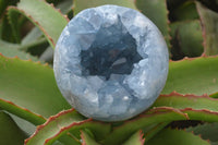 Polished Blue Celestite Egg Geodes  x 3 From Sakoany, Madagascar