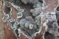 Natural Drusy Coated Ball Malachite On Dolomite Specimen  x 1 From Likasi, Congo