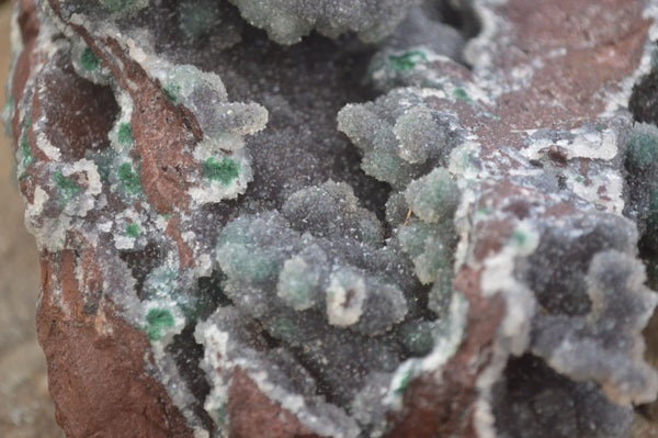 Natural Drusy Coated Ball Malachite On Dolomite Specimen  x 1 From Likasi, Congo