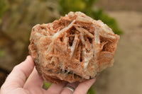 Natural Rare Large Bladed Barite Specimens  x 2 From Tenke Fungurume, Congo - TopRock