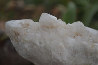 Natural Large Pineapple Candle Quartz Crystals  x 2 From Madagascar - Toprock Gemstones and Minerals 