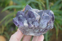 Natural Dark Amethyst Clusters x 3 From Mapatizya, Zambia