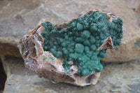 Natural Rare Ball Malachite On Drusy Quartz & Dolomite Matrix  x 1 From Kambove, Congo - Toprock Gemstones and Minerals 