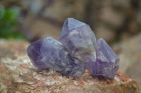 Natural Single Amethyst Crystals  x 35 From Zambia - Toprock Gemstones and Minerals 