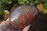 Polished Red Jasper Standing Free Forms  x 3 From Madagascar - Toprock Gemstones and Minerals 