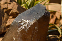 Natural Large Smokey Quartz Crystal x 1 From Mt. Mulanje, Malawi - TopRock