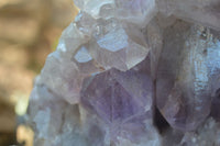 Natural Jacaranda Amethyst Cluster x 1 From Mumbwa, Zambia - TopRock