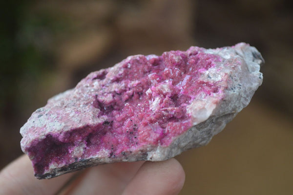 Natural Pink Salrose Cobaltion Dolomite Specimens  x 6 From Kakanda, Congo