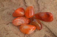 Polished  Carnelian Agate Tumble Stones  x 1 Kg Lot From Madagascar