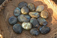 Polished  Flashy Labradorite Palm Stones  x 20 From Tulear, Madagascar