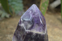 Polished Dream Amethyst Point x 1 From Madagascar